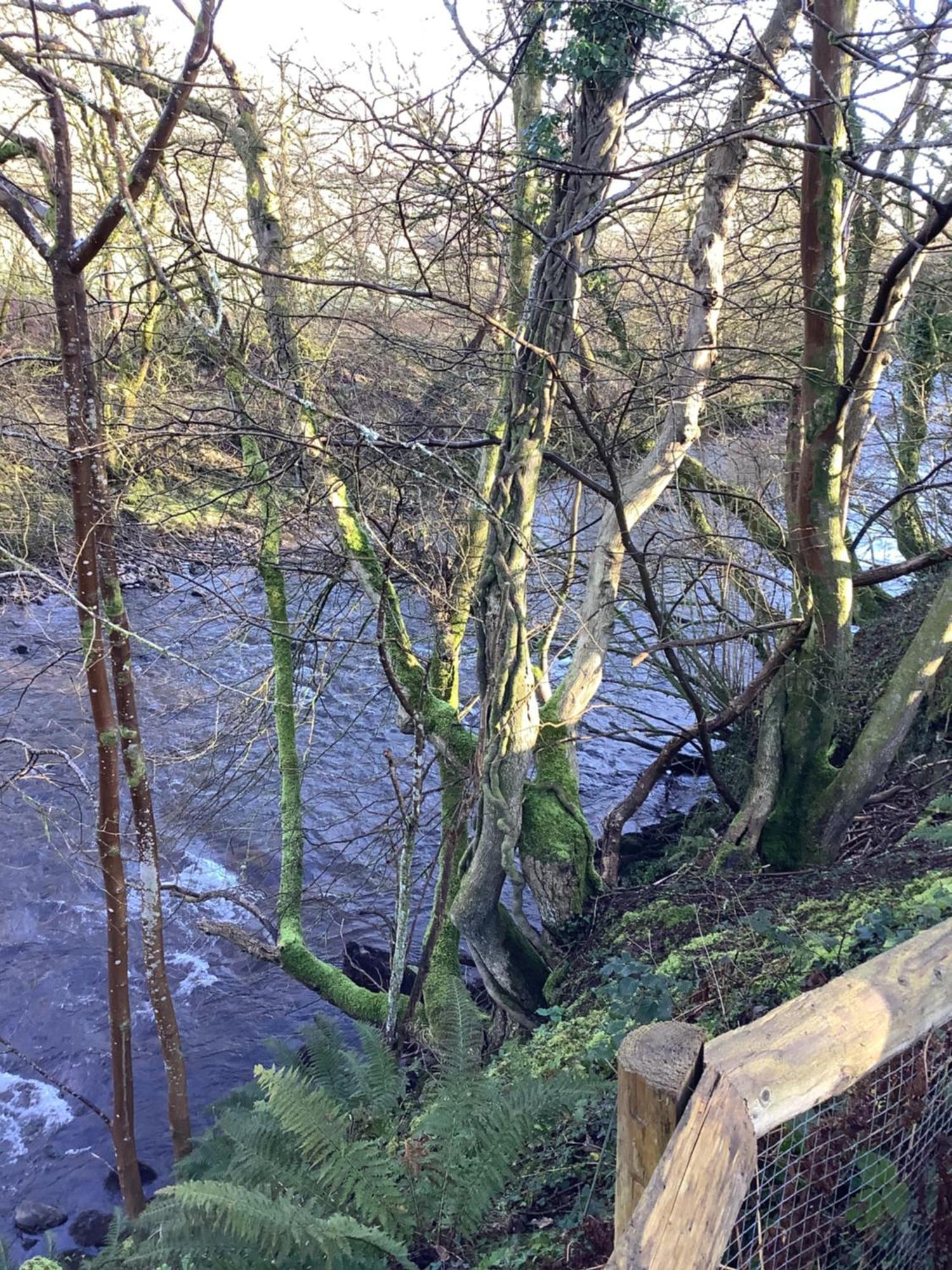 Little London Bed & Breakfast And Glamping Pod Hotel Abercraf Bagian luar foto